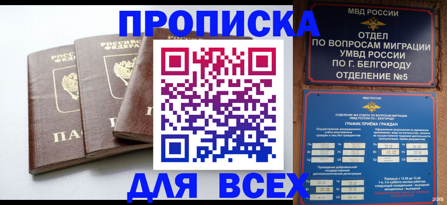 прописка в Окуловке